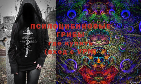 apvp Арсеньев