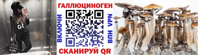 Галлюциногенные грибы Psilocybe  Бабушкин 